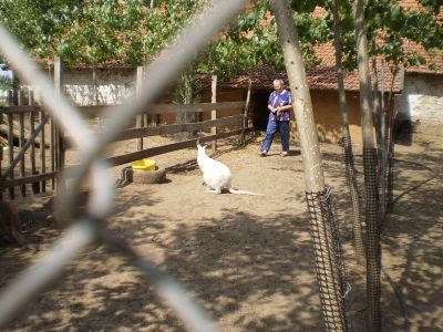 Kattints ide a teljes kép megtekintéséhez