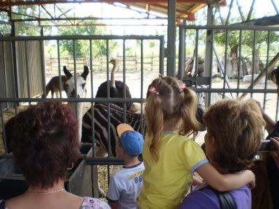 Kattints ide a teljes kép megtekintéséhez