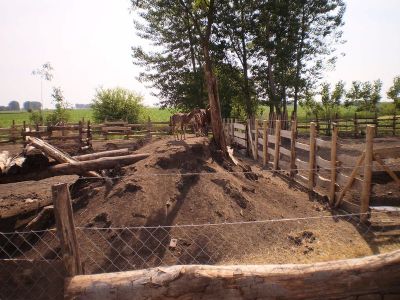 Kattints ide a teljes kép megtekintéséhez
