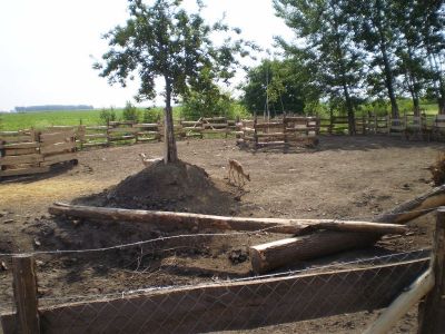Kattints ide a teljes kép megtekintéséhez