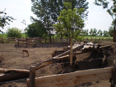 Kattints ide a teljes kép megtekintéséhez