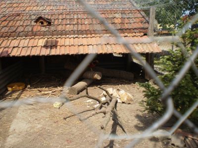 Kattints ide a teljes kép megtekintéséhez