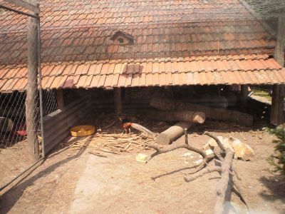 Kattints ide a teljes kép megtekintéséhez