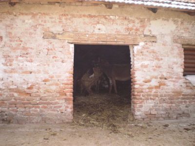 Kattints ide a teljes kép megtekintéséhez