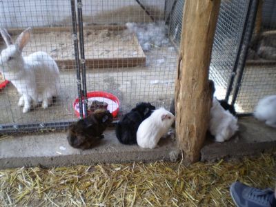 Kattints ide a teljes kép megtekintéséhez