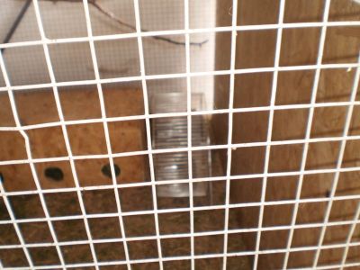 Kattints ide a teljes kép megtekintéséhez