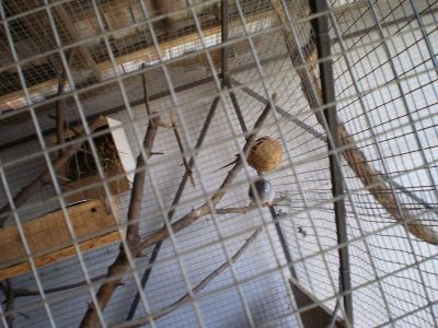 Kattints ide a teljes kép megtekintéséhez