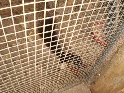 Kattints ide a teljes kép megtekintéséhez