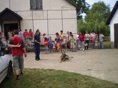 Kattints ide a teljes kép megtekintéséhez