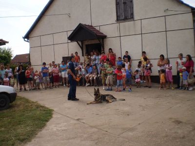 Kattints ide a teljes kép megtekintéséhez