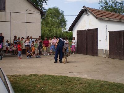 Kattints ide a teljes kép megtekintéséhez