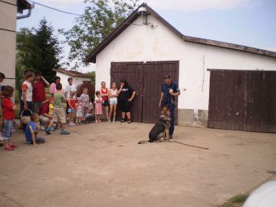 Kattints ide a teljes kép megtekintéséhez