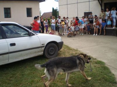 Kattints ide a teljes kép megtekintéséhez
