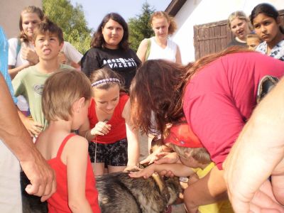 Kattints ide a teljes kép megtekintéséhez