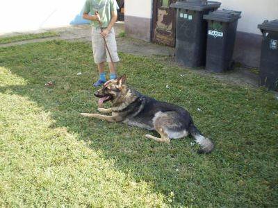Kattints ide a teljes kép megtekintéséhez