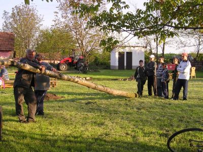 Kattints ide a teljes kép megtekintéséhez