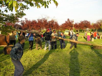 Kattints ide a teljes kép megtekintéséhez